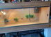 Vivarium LARGE with electrics