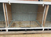 Triple Breeding cage