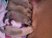 American bulldog cross American staff