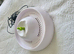 Electric Water Fountain