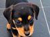 Daxi Jack