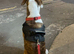 Nyla looking for a new home
