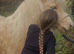 Palomino gelding