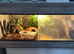 3ft vivarium for sale