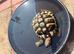 3 year old male tortoise & wooden cage