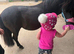 10.2hh Shetland 15 years old mare
