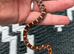 Baby corn snakes
