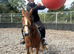 *** MOTHERS DREAM PONY ***