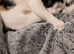 2 female cats for loving home.