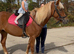 Welsh D 14.3 4 year old mare.
