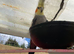 Semi-Tame Cockatiel &ndash; &pound;80