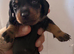 Dachshund puppy (female)