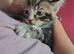 Not ready yet loving forever homes only