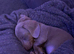 20 weeks old Isabella male dachshund