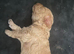 Cavapoo pups for sale