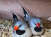 2 breeding pairs hex finch, long tail grass finch