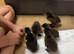 5 two week old ducklings for sale