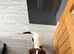Springer spaniel bitch