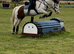 13.3hh experienced fun alrounder