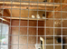 Canary’s wanted