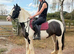 Lovely little pony for somone