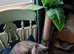 Two beautiful pedigree bsh suites. GCCF registered.
