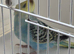 Baby budgie ring number 35 2026 rung