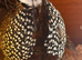 Male mearns quails