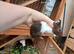 Baby guinea pigs