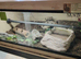 Kenyan sand boa with full setup