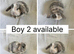 6 beautiful baby mini lops ready to reserve