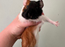 3 male guinea pigs need gone today