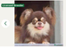 Chihuahua puppies from health tested parents