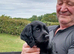 Working cocker pups ready