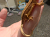 Baby crested geckos