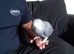 African grey parrot tame brilliant talker