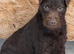 Patterdale