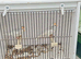 Lesser redpoll pair.