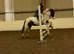 Pony club/ games/ hunt pony 12.2hh mare 8 yrs
