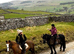 Stunning Fell x mare