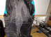 Dog coat for male dog