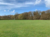 Grass livery available near princes risborough