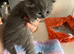 2 BSH GIRLS LEFT CHUNKY BLuE