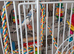 Budgie