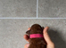 Asian Poodle Girl Puppy