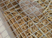 4 week old quails 4 female 1 male