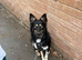 Active/working family needed for Poppy.