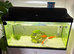 105L fish tank