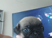 Frug pups