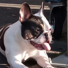 Carlos